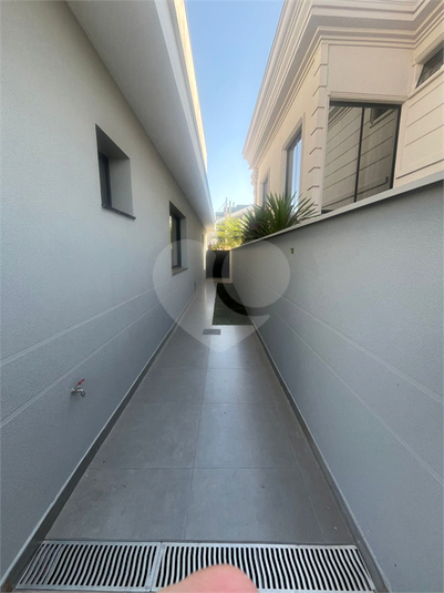 Foto REO1115852