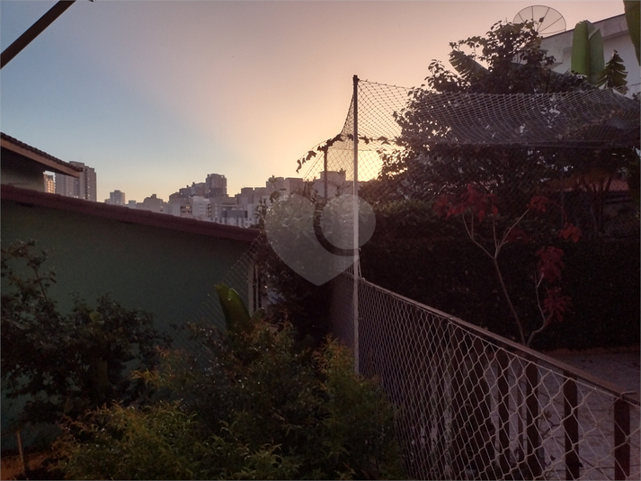Foto REO1115854