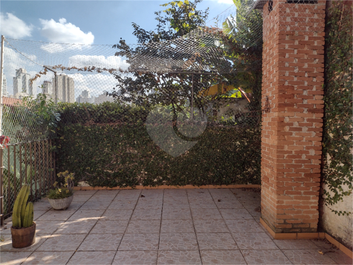 Foto REO1115854