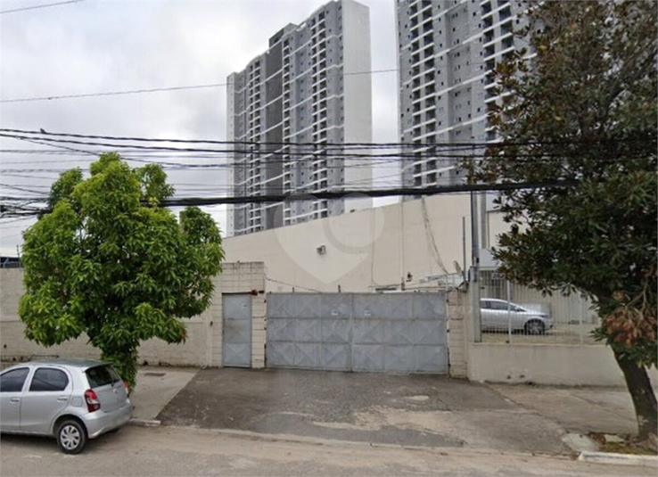 Foto REO1115855