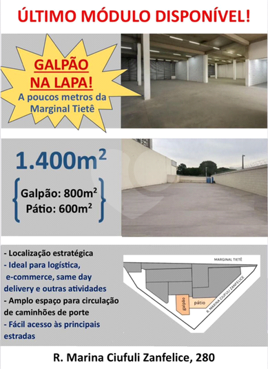 Foto REO1115855