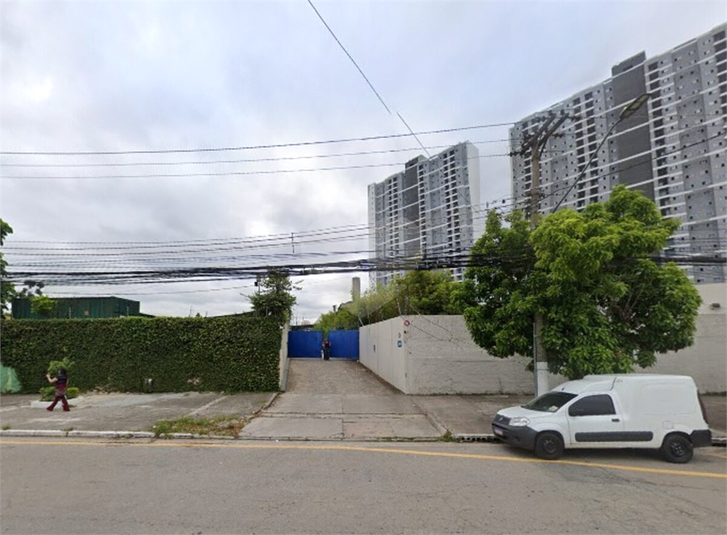 Foto REO1115855