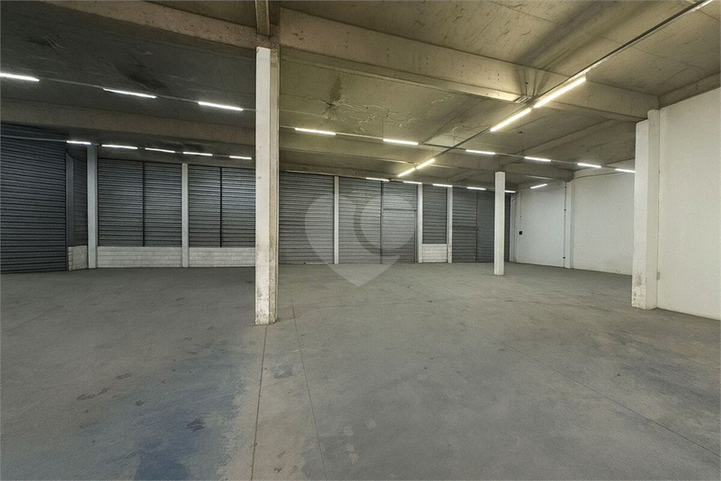 Foto REO1115855