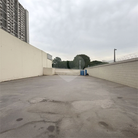 Foto REO1115855