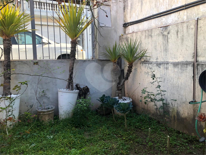 Foto REO1115857