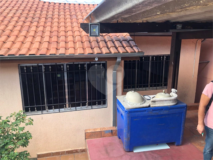 Foto REO1115857