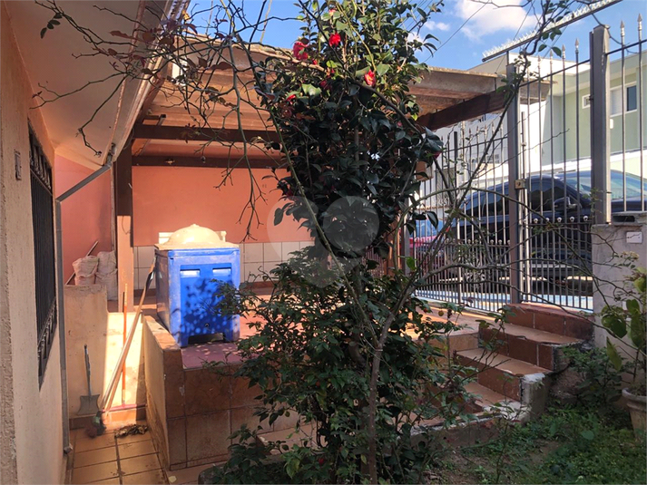 Foto REO1115857