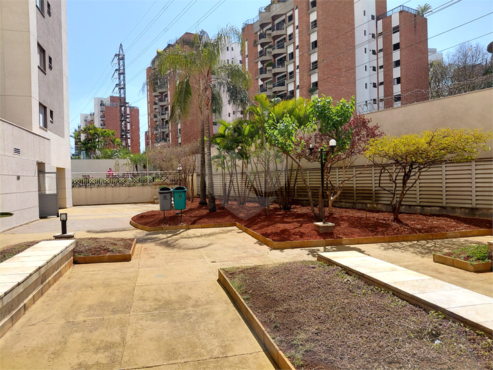 Foto REO111586