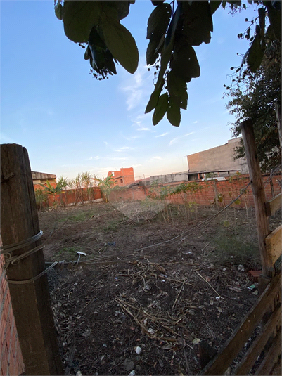 Foto REO1115863