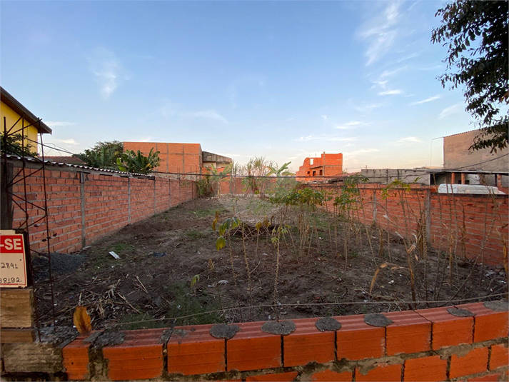 Foto REO1115863