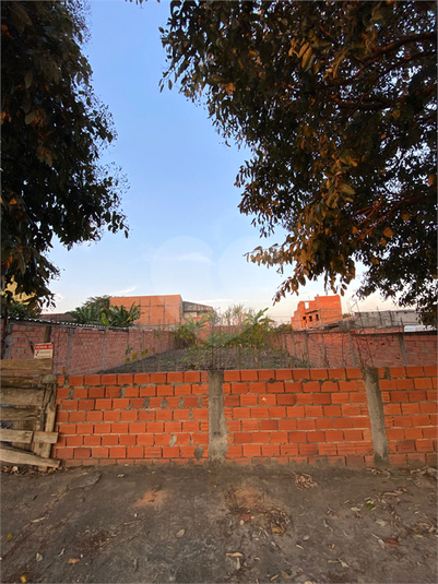 Foto REO1115863