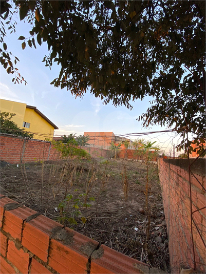 Foto REO1115863