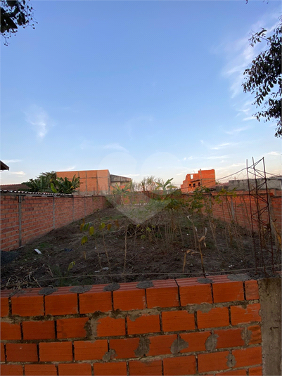 Foto REO1115863