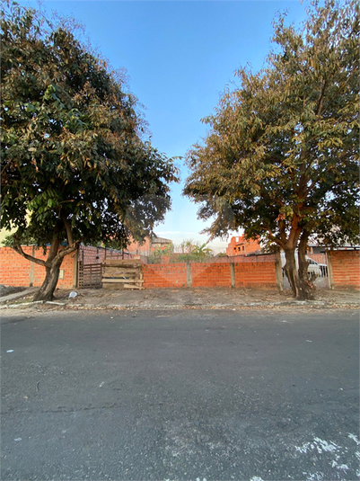 Foto REO1115863