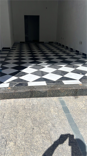 Foto REO1115864