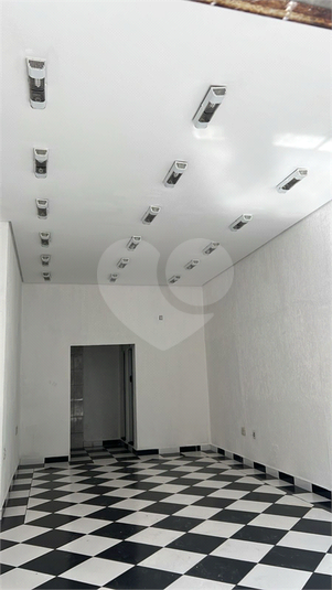 Foto REO1115864