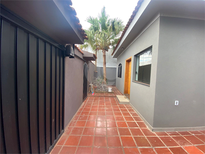 Foto REO1115868