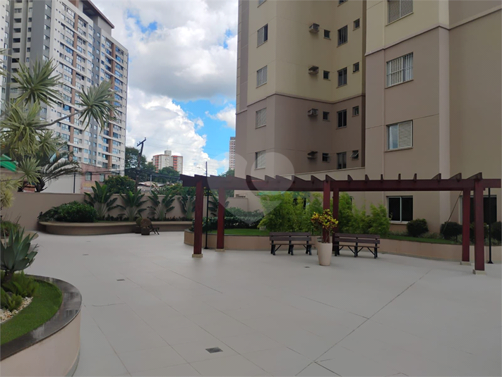 Foto REO1115870