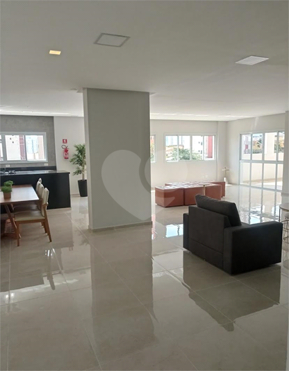 Foto REO1115873