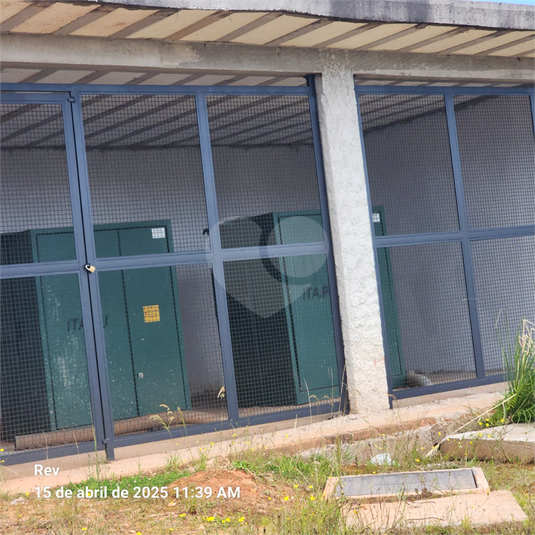 Foto REO1115875
