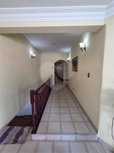 Foto REO1115876