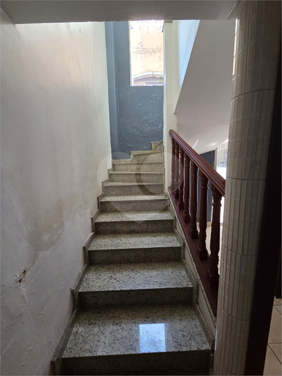 Foto REO1115876