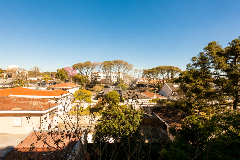Foto REO1115881