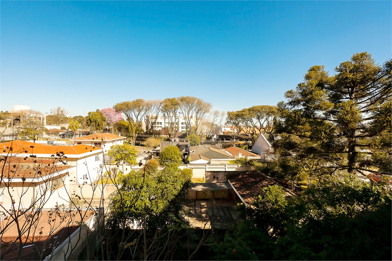 Foto REO1115881
