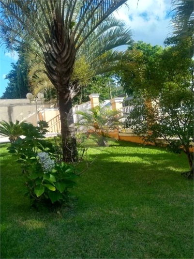Foto REO1115883