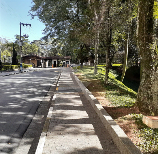 Foto REO1115889