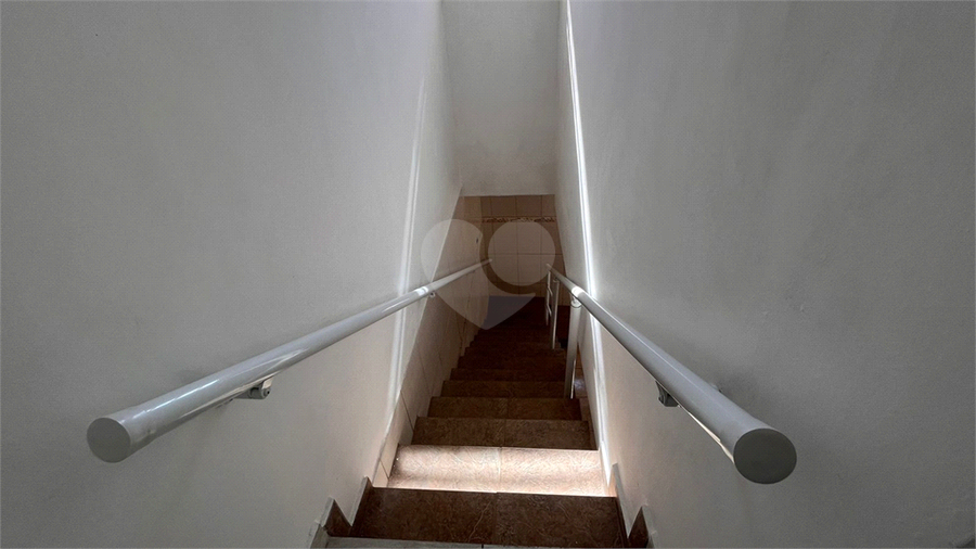 Foto REO1115891