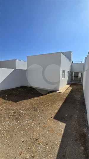 Foto REO1115896