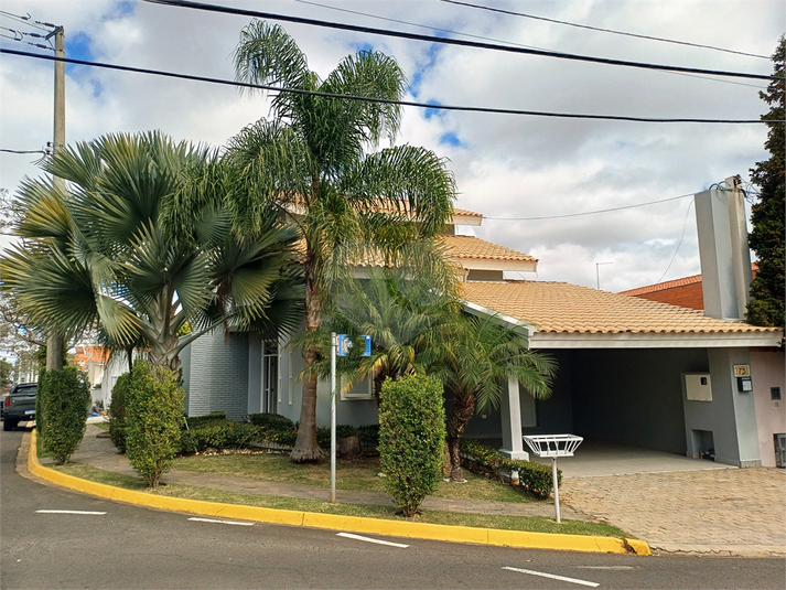 Foto REO1115943