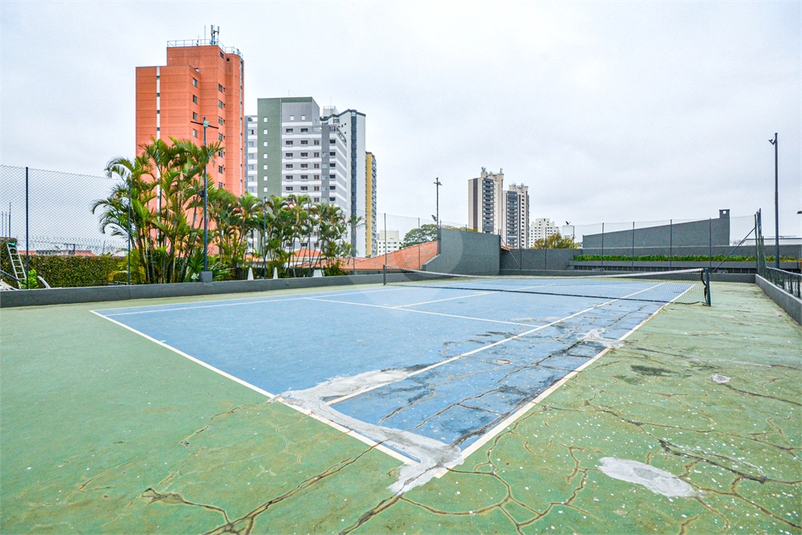 Foto REO1115948
