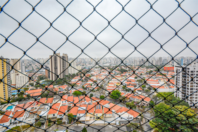 Foto REO1115948