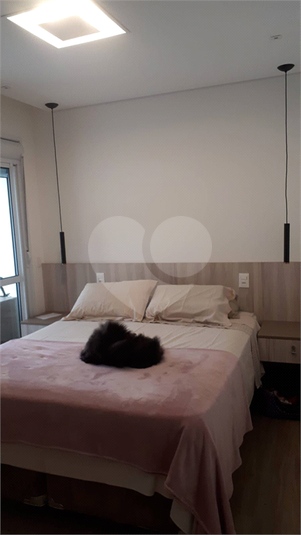 Foto REO1115954