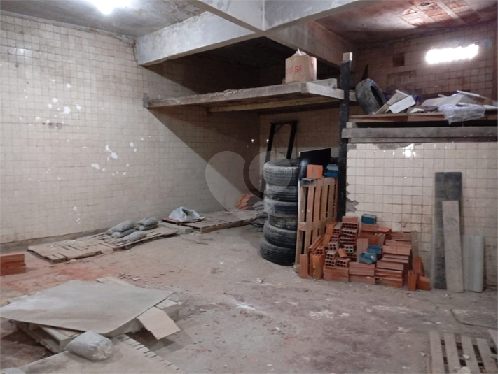 Foto REO1115960
