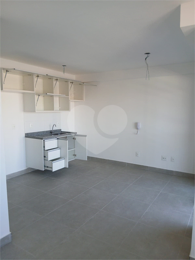 Foto REO1115962
