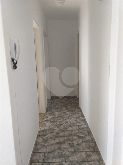 Foto REO1115963