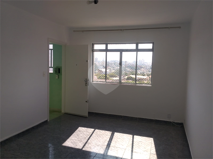 Foto REO1115963