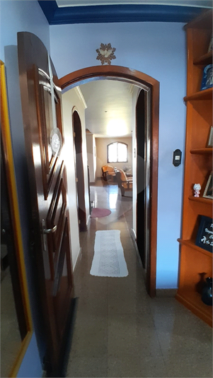 Foto REO1115973