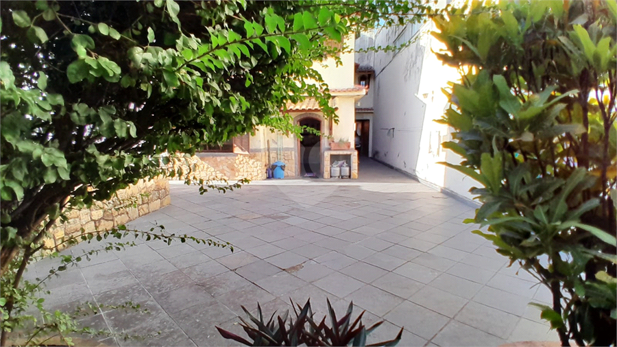 Foto REO1115973