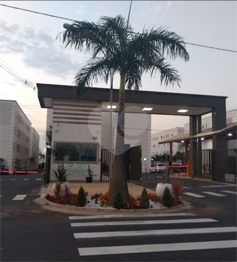 Foto REO1115979