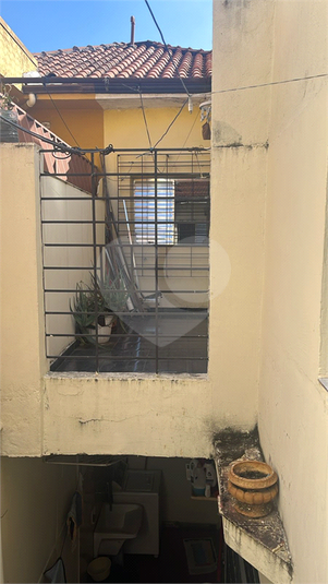 Foto REO1116003
