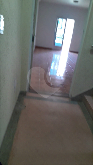 Foto REO1116009