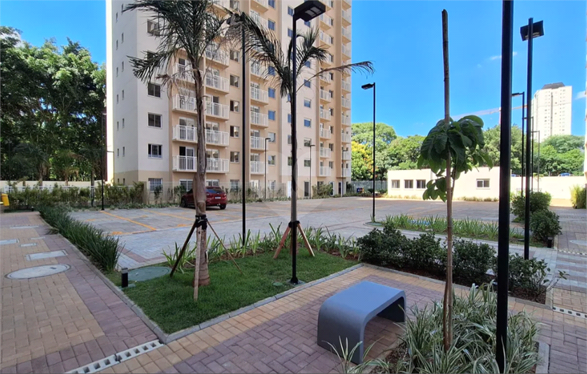 Foto REO1116015