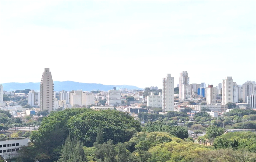Foto REO1116015