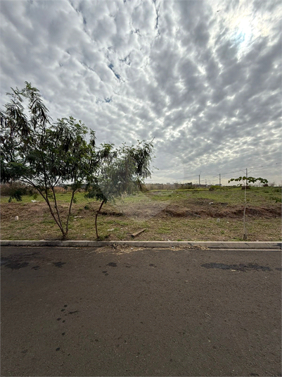 Foto REO1116023