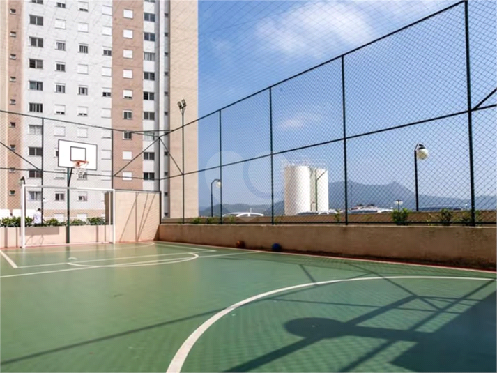 Foto REO1116028