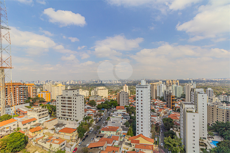 Foto REO1116035